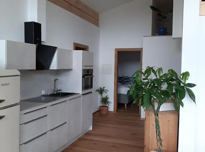 Loftwohnung Mit Bergblick Зальфельден