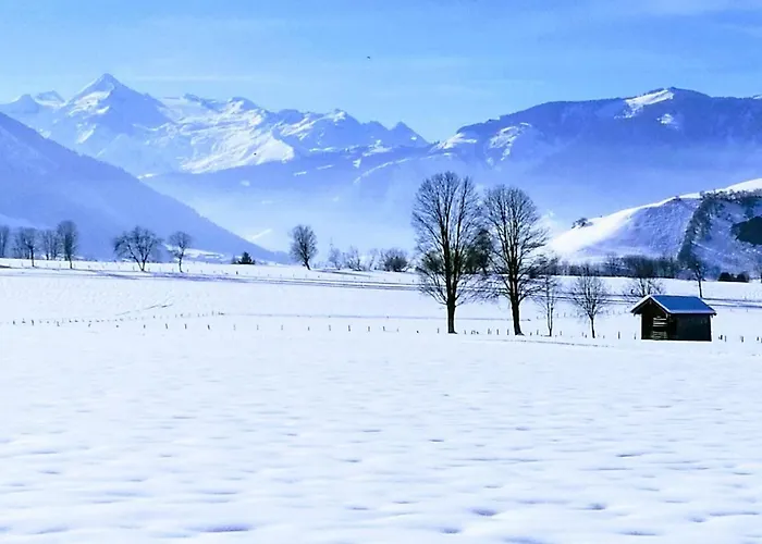 Loftwohnung Mit Bergblick Апартаменты *